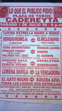 source: http://luchadb.com/posters/uploads/Rob_2026031302/Rob_2026031302_03.png