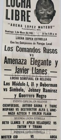 source: http://luchadb.com/posters/uploads/Rob_2026031302/Rob_2026031302_13.png