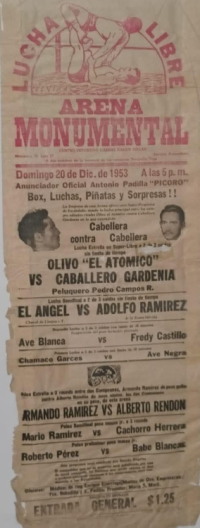 source: http://luchadb.com/posters/uploads/Rob_2026031303/Rob_2026031303_10.png