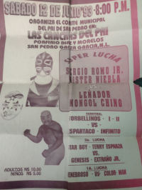 source: http://luchadb.com/posters/uploads/Rob_2026031303/Rob_2026031303_12.png