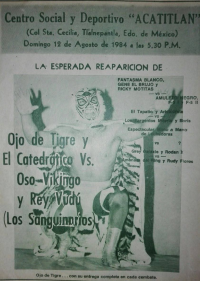 source: http://luchadb.com/posters/uploads/Rob_2026031303/Rob_2026031303_19.png