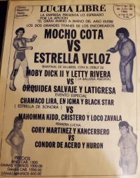 source: http://luchadb.com/posters/uploads/Rob_2026031303/Rob_2026031303_11.png