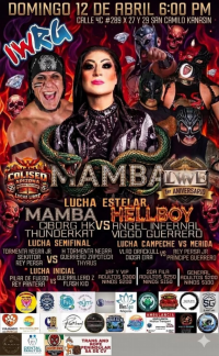 source: http://luchadb.com/posters/uploads/2026032605/20260326_11.png