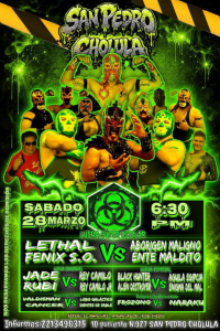 source: http://luchadb.com/posters/uploads/2026032701/20260327_09.png