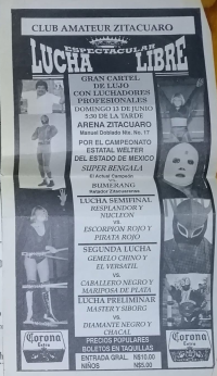 source: http://luchadb.com/posters/uploads/Rob_2026041902/01.png