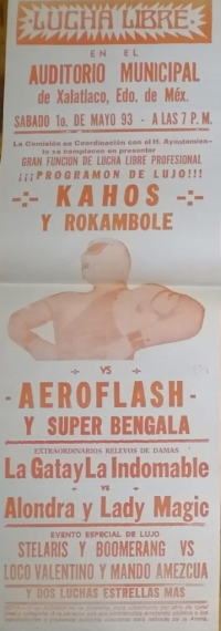 source: http://luchadb.com/posters/uploads/Rob_2026041902/Rob_2026041902_03.png