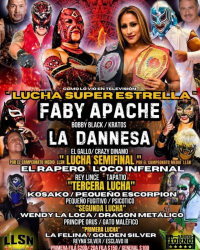 source: http://luchadb.com/posters/uploads/2026042601/20260426_14.png