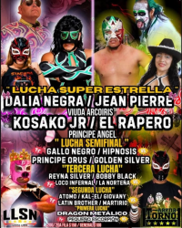 source: http://luchadb.com/posters/uploads/2026042903/20260429_03.png