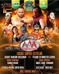 source: http://luchadb.com/posters/uploads/2026051202/20260512_04.png