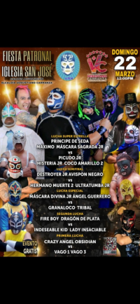 source: https://luchadb.com/posters/uploads/2026052802/20260528_20.png