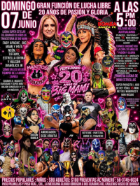 source: https://luchadb.com/posters/uploads/2026060201/2026060201_06.png