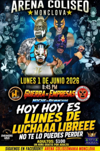source: https://luchadb.com/posters/uploads/2026060201/2026060201_11.png
