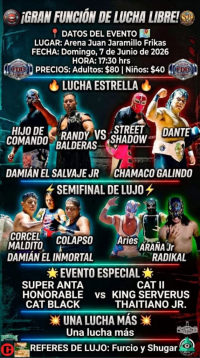 source: https://luchadb.com/posters/uploads/2026060201/2026060201_12.png