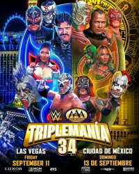 source: https://luchadb.com/posters/uploads/2026060202/2026060202_16.png