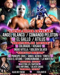 source: https://luchadb.com/posters/uploads/2026060202/2026060202_01.png