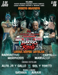source: https://luchadb.com/posters/uploads/2026060202/2026060202_15.png