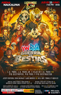 source: https://luchadb.com/posters/uploads/2026060401/2026060401_02.png