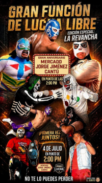 source: https://luchadb.com/posters/uploads/2026060401/2026060401_06.png
