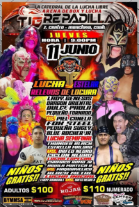 source: https://luchadb.com/posters/uploads/2026060701/2026060701_09.png