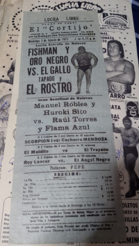 source: https://luchadb.com/posters/uploads/Rob_2026060802/Rob_2026060802_07.png