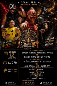 source: https://luchadb.com/posters/uploads/2026060902/2026060902_02.png