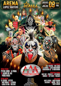 source: https://luchadb.com/posters/uploads/2026061001/2026061001_01.png