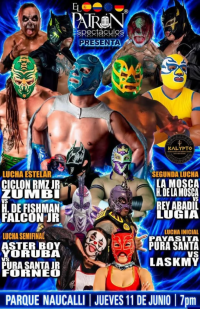 source: https://luchadb.com/posters/uploads/2026061101/2026061101_07.png