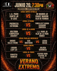 source: https://luchadb.com/posters/uploads/2026061101/2026061101_10.png