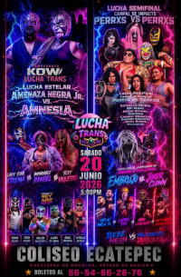 source: https://luchadb.com/posters/uploads/2026061102/2026061102_02.png