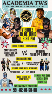 source: https://luchadb.com/posters/uploads/2026061102/2026061102_11.png