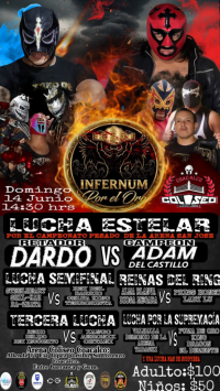 source: https://luchadb.com/posters/uploads/2026061102/2026061102_05.png