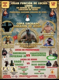 source: https://luchadb.com/posters/uploads/2026061401/2026061401_08.png