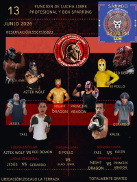 source: https://luchadb.com/posters/uploads/2026061402/2026061402_03.png