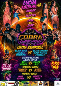 source: https://luchadb.com/posters/uploads/2026061501/2026061501_01.png