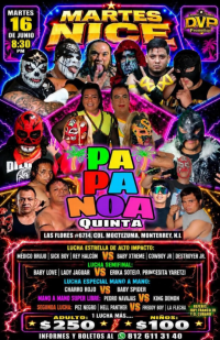 source: https://luchadb.com/posters/uploads/2026061601/2026061601_13.png