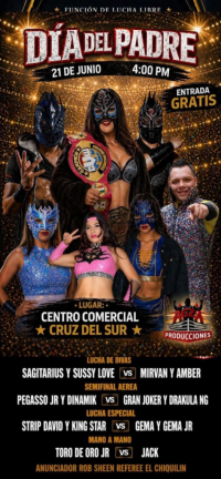 source: https://luchadb.com/posters/uploads/2026061603/2026061603_18.png