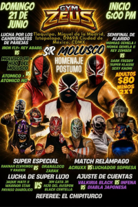 source: https://luchadb.com/posters/uploads/2026061701/2026061701_01.png