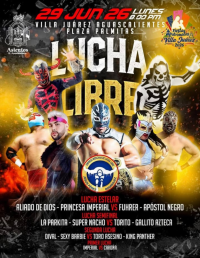 source: https://luchadb.com/posters/uploads/2026062401/2026062401_15.png