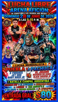 source: https://luchadb.com/posters/uploads/2026062501/2026062501_11.png
