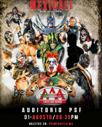 source: https://luchadb.com/posters/uploads/2026062501/2026062501_18.png
