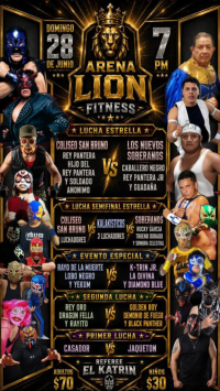source: https://luchadb.com/posters/uploads/2026062703/2026062703_10.png