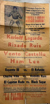 source: https://luchadb.com/posters/uploads/2026062802/2026062802_16.png