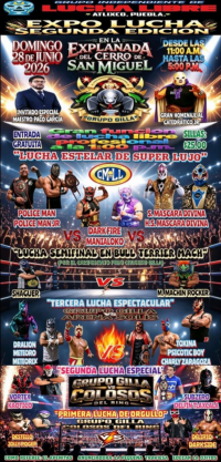 source: https://luchadb.com/posters/uploads/2026070601/2026070601_05.png