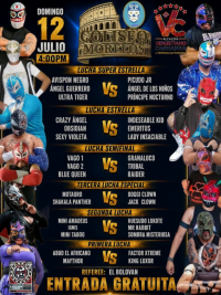 source: https://luchadb.com/posters/uploads/2026070701/2026070701_11.png