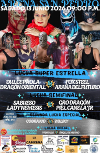 source: https://luchadb.com/posters/uploads/2026070702/2026070702_14.png