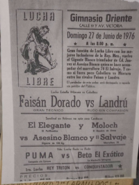 source: https://luchadb.com/posters/uploads/2026071202/2026071202_07.png