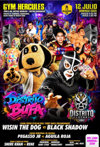 source: https://luchadb.com/posters/uploads/2026070902/2026070902_19.png