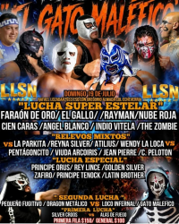 source: https://luchadb.com/posters/uploads/2026071401/2026071401_10.png