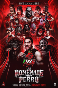 source: https://luchadb.com/posters/uploads/2026071903/2026071903_03.png