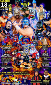 source: https://luchadb.com/posters/uploads/2026071903/2026071903_08.png